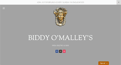 Desktop Screenshot of biddyomalleys.com